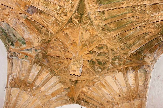 Isle Abbots - Fan Vaulting