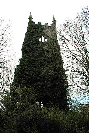 Old Kea - The Tower